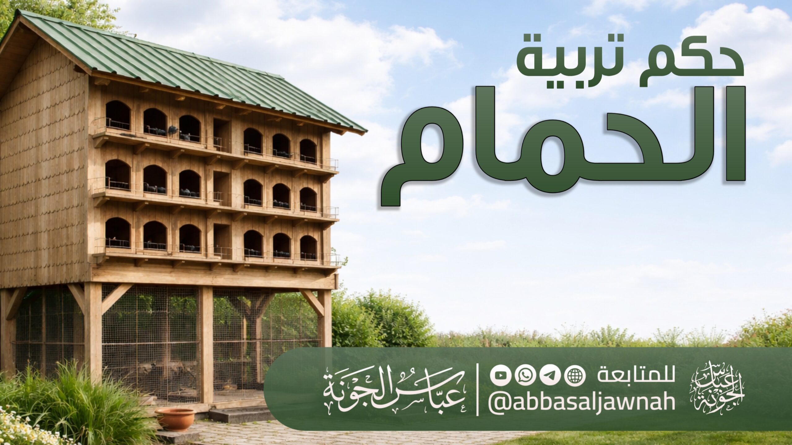 حكم تربية الحمام