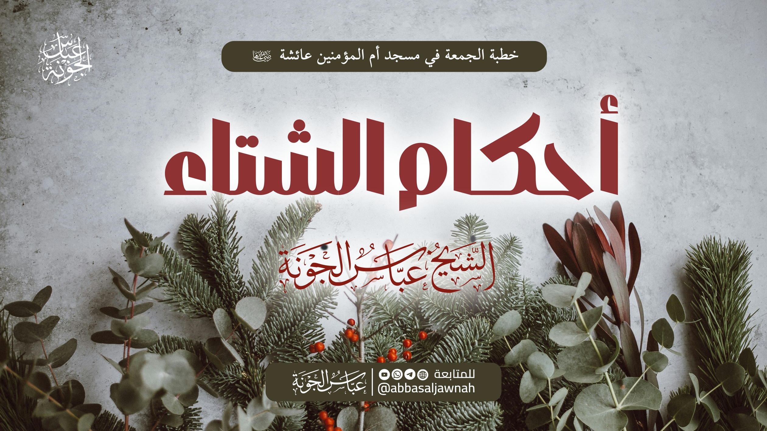 أحكام الشتاء